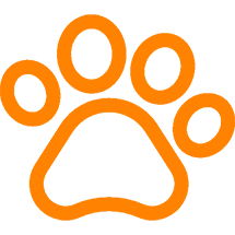 pets.png