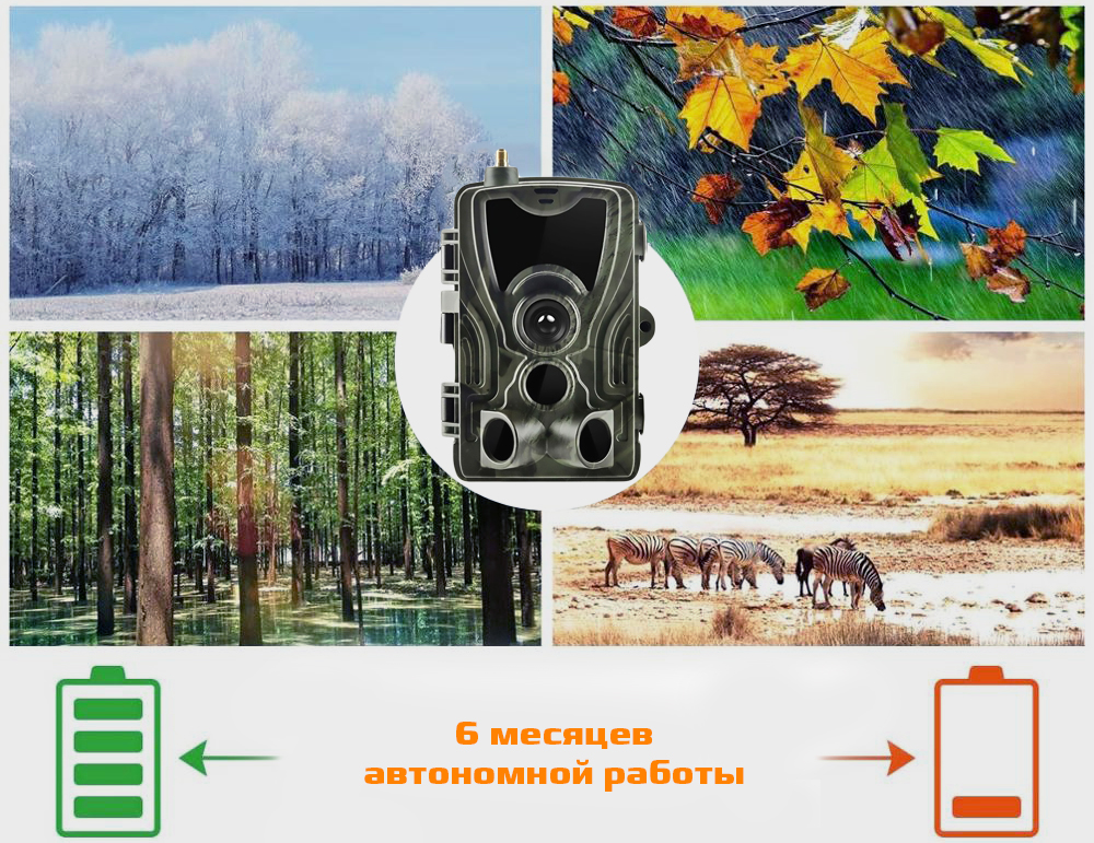 801proproavtonomnyraboty.jpg