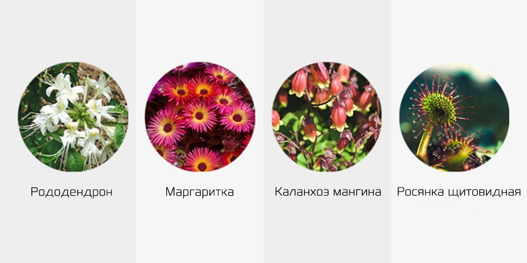 Анализатор почвы и освещенности Xiaomi Smart Flower Monitor - Информационная база данных