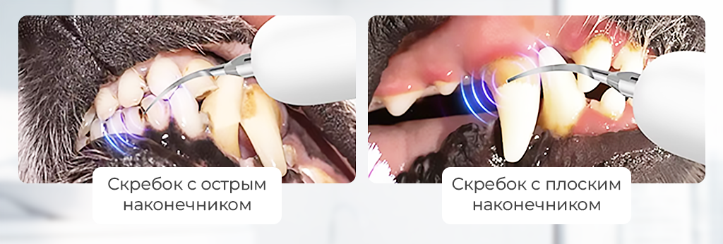 SenCiciMen Pet Dental Plaque Remover (SCMT5)-рич-4.png