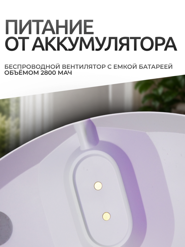 6941812723098 8.png