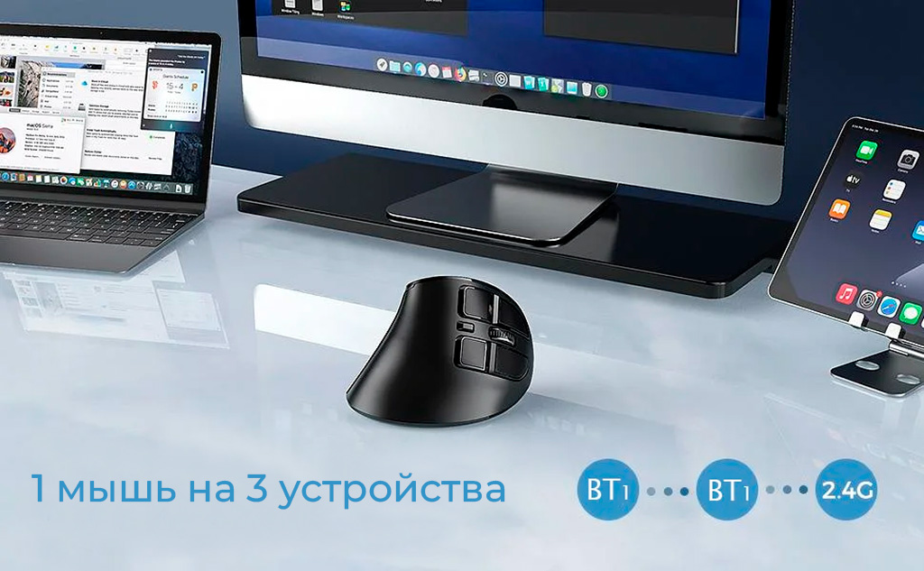 Seenda Wireless Ergonomic Vertical Mouse (IWG-SGM01) Black-rich-1.jpg