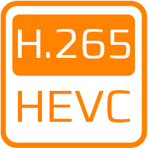 H265