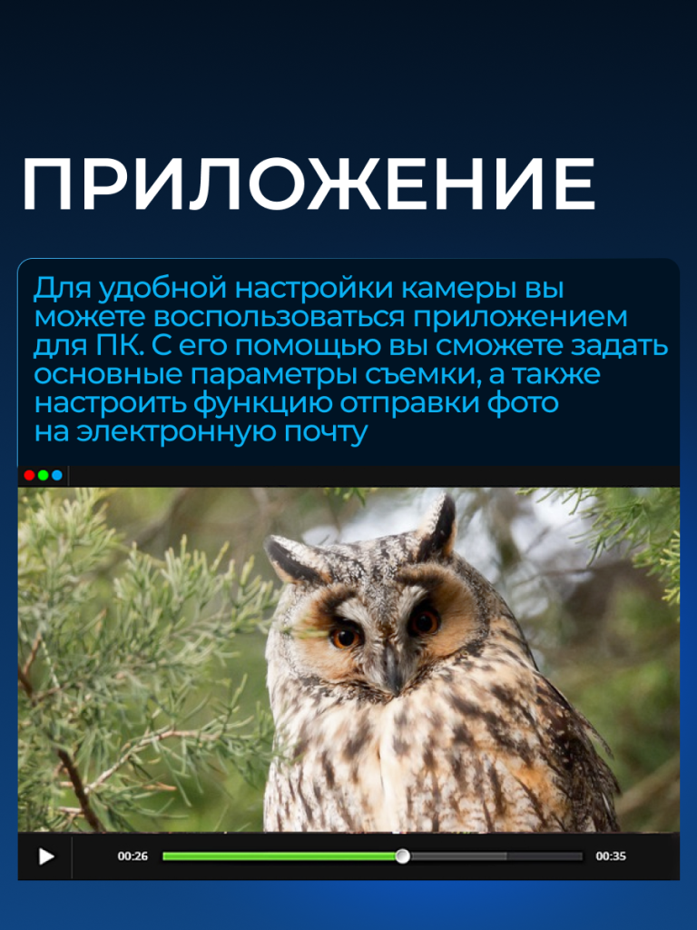 6930878737316 8.png