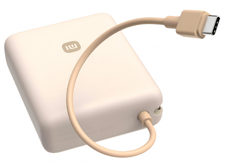 Купить Xiaomi Mi Power Bank 33W 10000 mah (PB1033MI) Light Brown