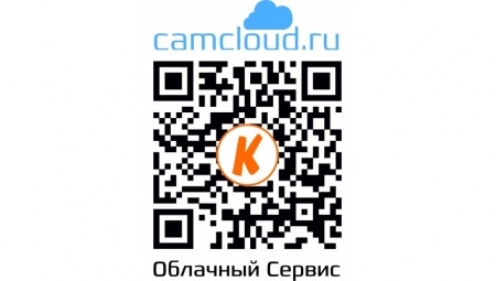 Купить IP камера видеонаблюдения CARCAM CAM-2890VPSD