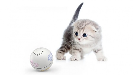 Xiaomi Petoneer Pet Smart Companion Ball