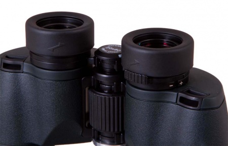 Купить Бинокль Levenhuk Bruno PLUS 20x80