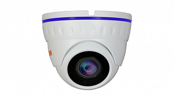 Купить IP камера видеонаблюдения CARCAM CAM-2889P