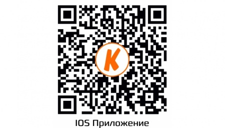 Купить IP камера видеонаблюдения CARCAM CAM-2891P