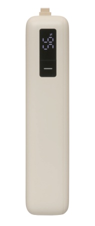 Купить Xiaomi Mi Power Bank With Cable USB-C 20000mAh 67W (PB2067) Light Brown