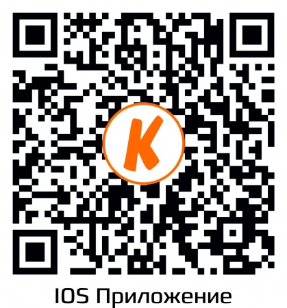 Купить IP камера видеонаблюдения CARCAM CAM-2893P