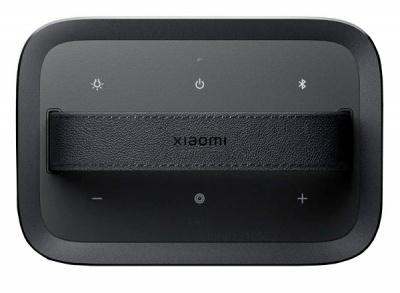 Купить Xiaomi Outdoor Bluetooth Speaker (ASM06A) Black