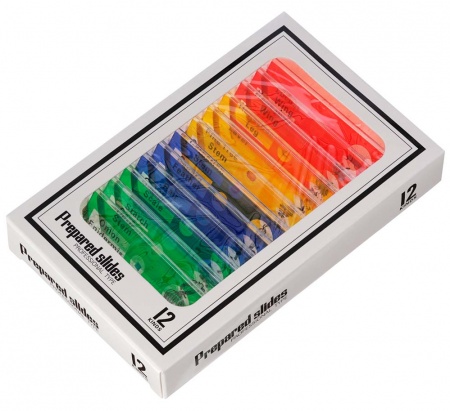 Levenhuk Rainbow DM500 LCD