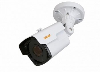 Купить IP камера видеонаблюдения CARCAM CAM-4895VP