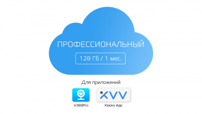 Тариф ПРОФЕССИОНАЛЬНЫЙ - 128Gb 1 мес. V380Pro / Xiaovv App