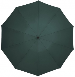 Xiaomi Zuodu Full Automatic Umbrella Led Dark Green