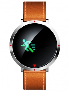 CARCAM Smart Watch S2 коричневая кожа