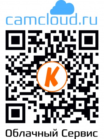 Купить IP камера видеонаблюдения CARCAM CAM-2893P