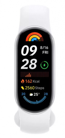 Купить Xiaomi Smart Band 9 (M2345B1) Glacier Silver