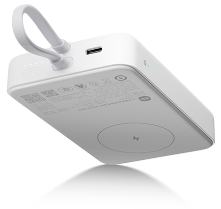 Купить Xiaomi Magnetic Power Bank with Built in Cable 10000mAh 33W (WPB1007MI) White