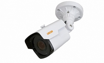 Купить IP камера видеонаблюдения CARCAM CAM-5895P