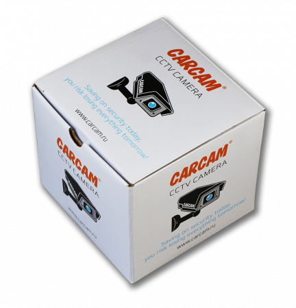 Купить IP камера видеонаблюдения CARCAM CAM-4890VPSD