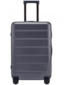Xiaomi Mi Suitcase Series 24" Gray (LXX03RM)