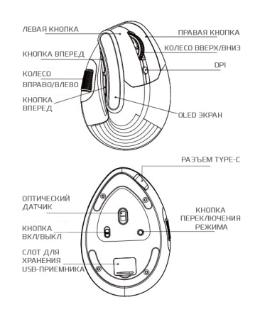 Купить Saiggi Wireless Vertical Mouse (TM-023) Black