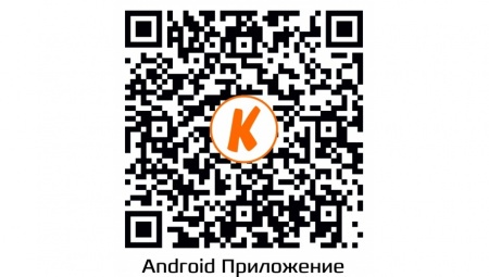Купить IP камера видеонаблюдения CARCAM CAM-2890VPSD