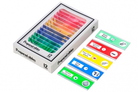 Levenhuk Rainbow DM500 LCD